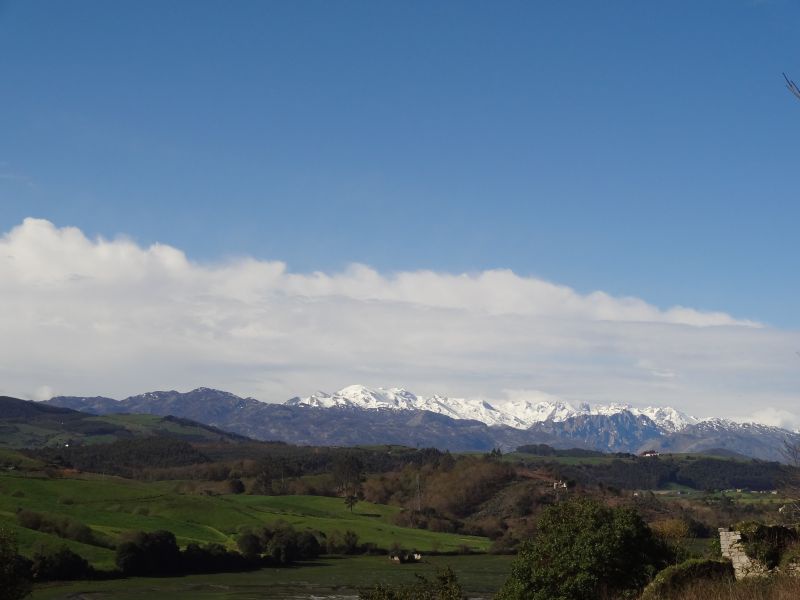 Schneeberge in der Ferne In der Ferne leuchten schneebedeckte Gipfel